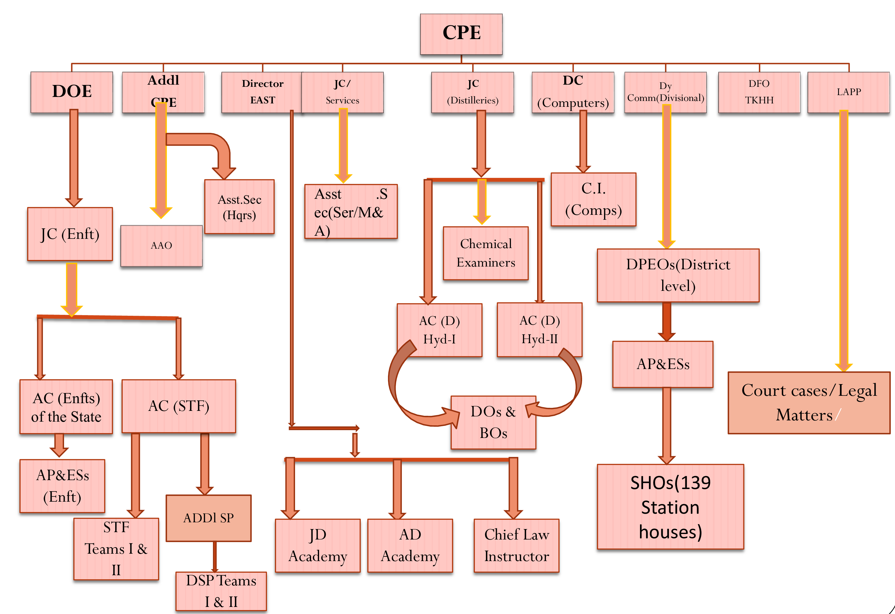 Organization Chart